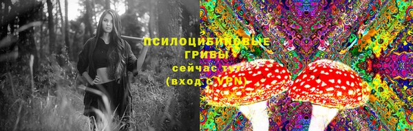 ГАЛЛЮЦИНОГЕННЫЕ ГРИБЫ Балахна