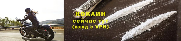 шишки Ветлуга