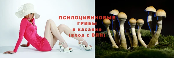spice Балабаново