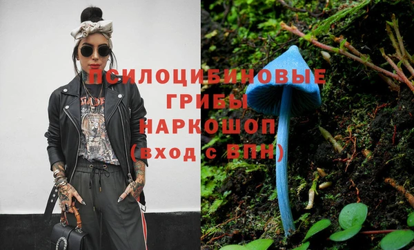 spice Балабаново