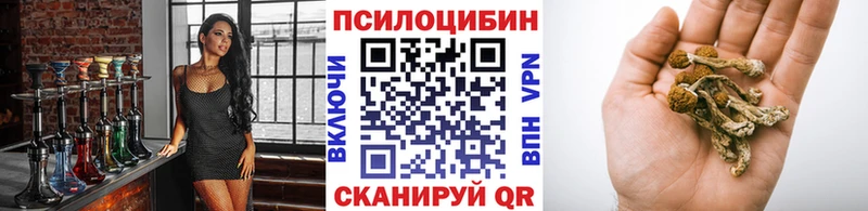 MEGA ТОР  Верея  Псилоцибиновые грибы прущие грибы 